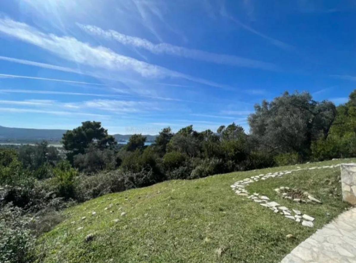 Gallery image 10