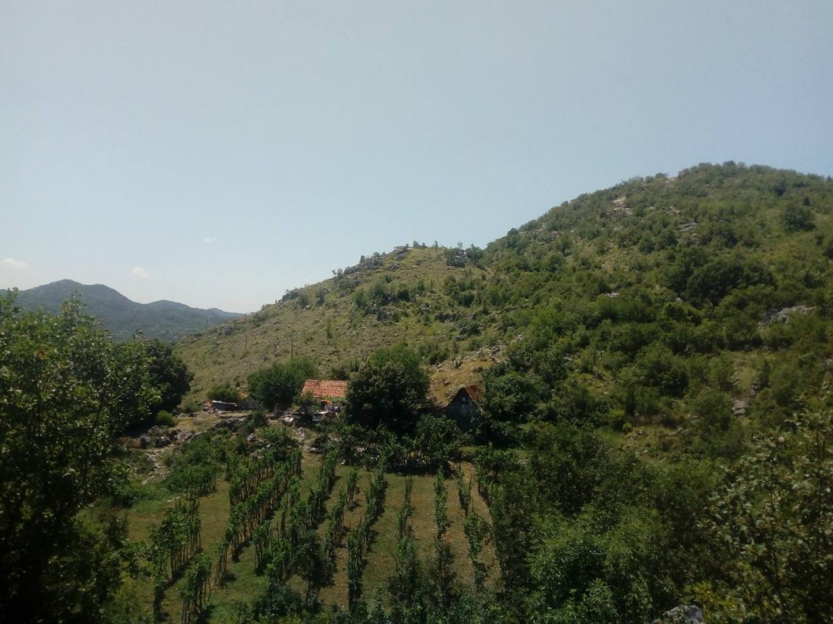 Gallery image 14