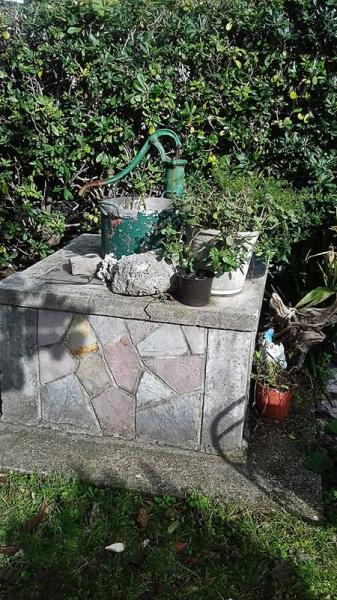 Gallery image 13