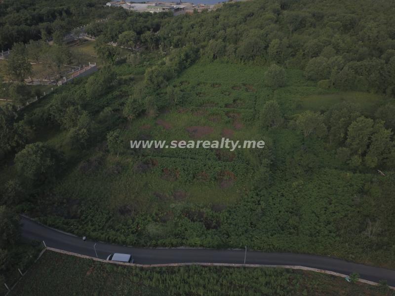 Gallery image 13