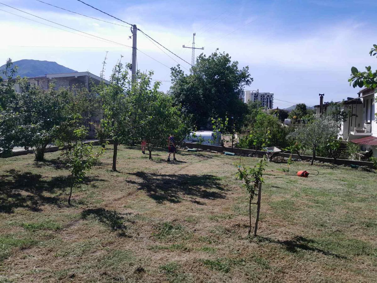 Gallery image 17
