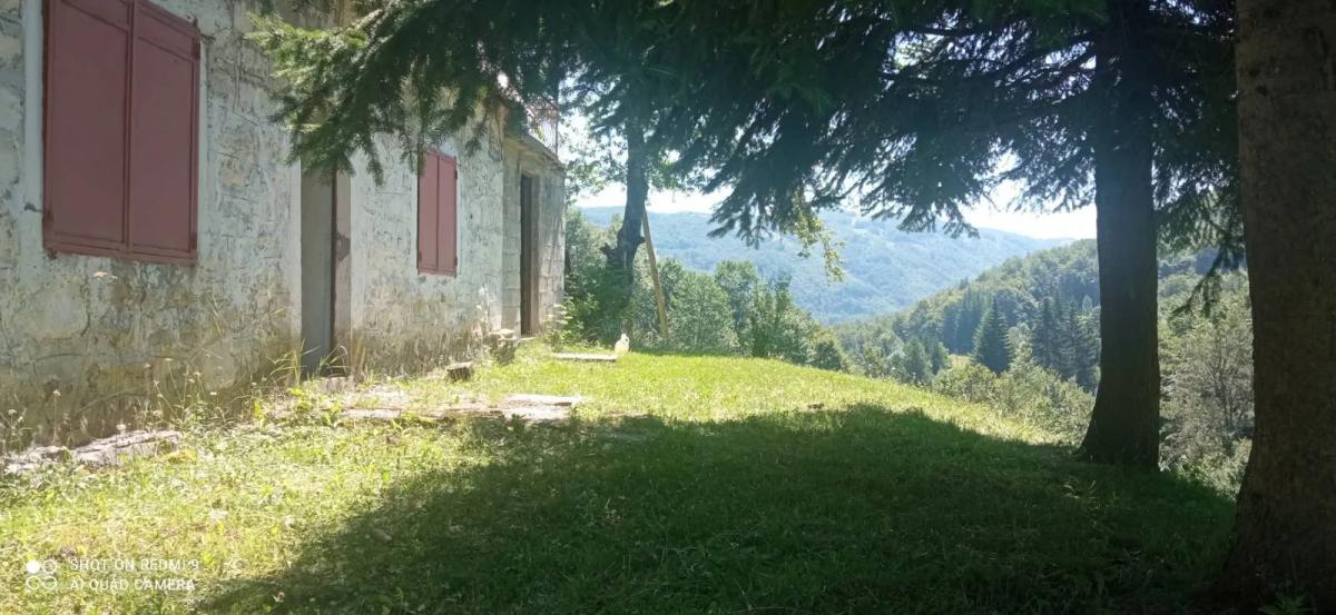 Gallery image 18