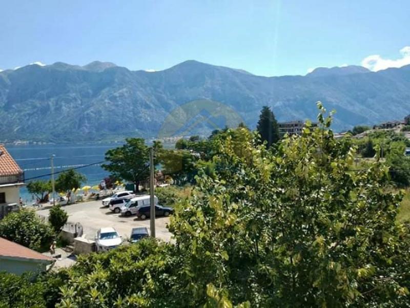 Gallery image 12