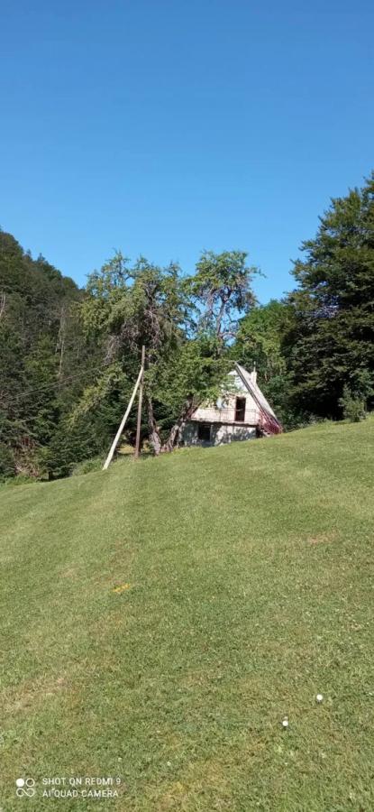 Gallery image 13