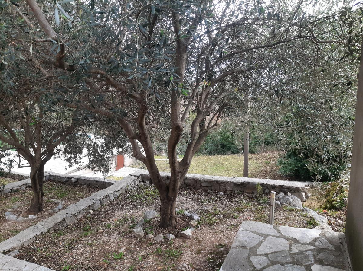 Gallery image 10