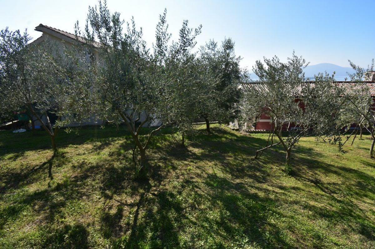 Gallery image 14