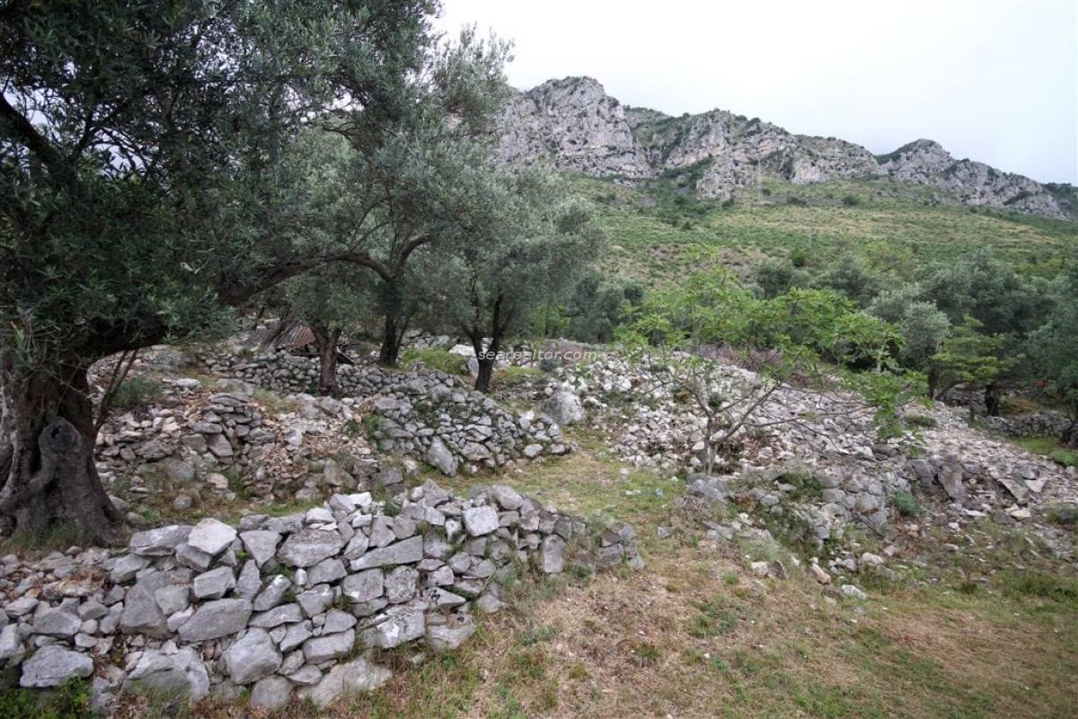 Gallery image 6