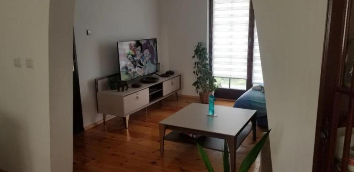Gallery image 5