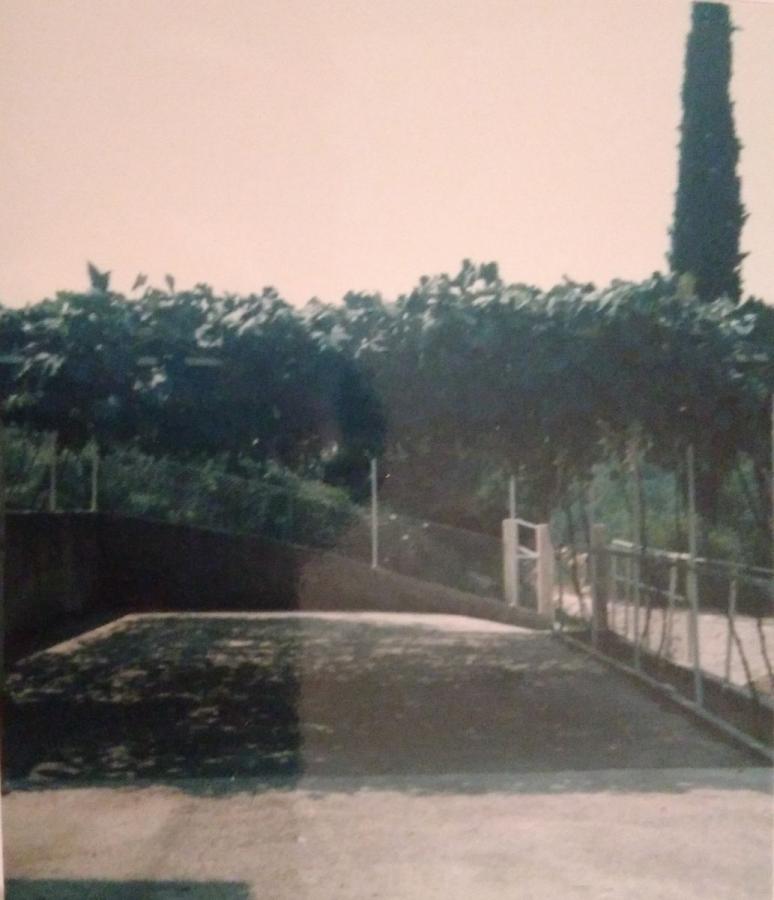 Gallery image 7