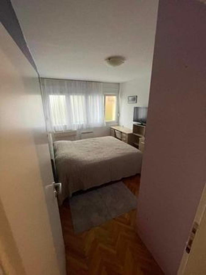 Gallery image 7