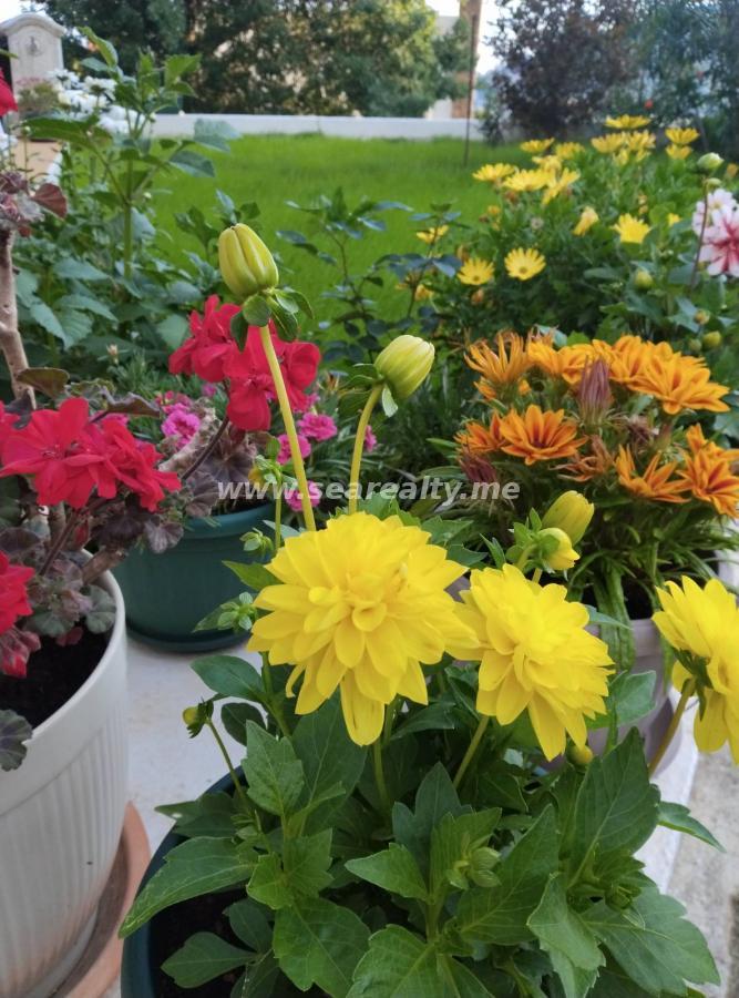 Gallery image 20
