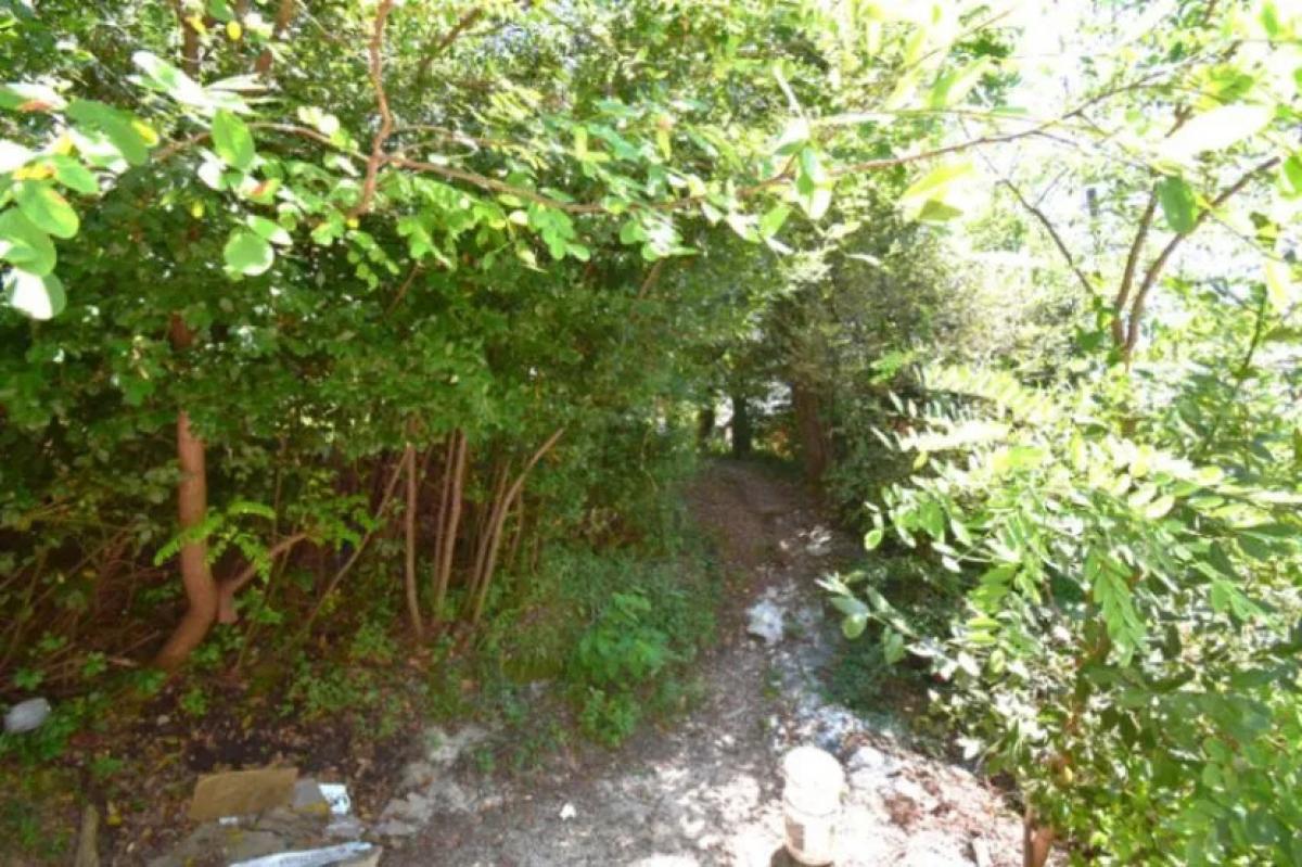 Gallery image 7