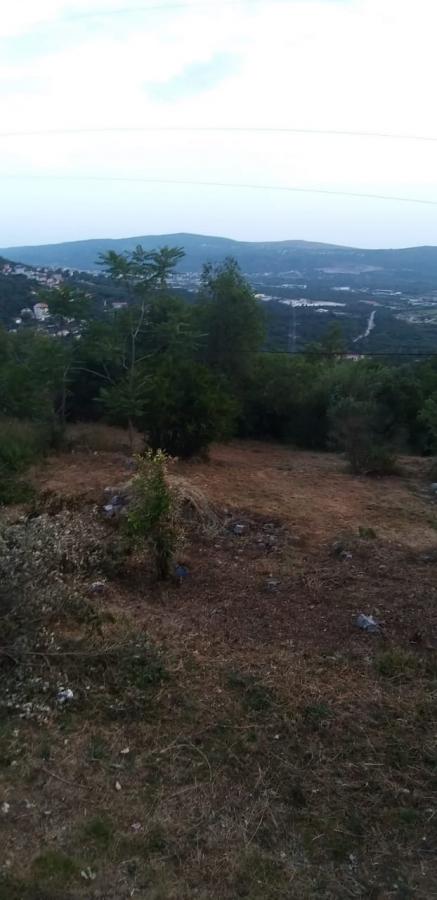 Gallery image 10