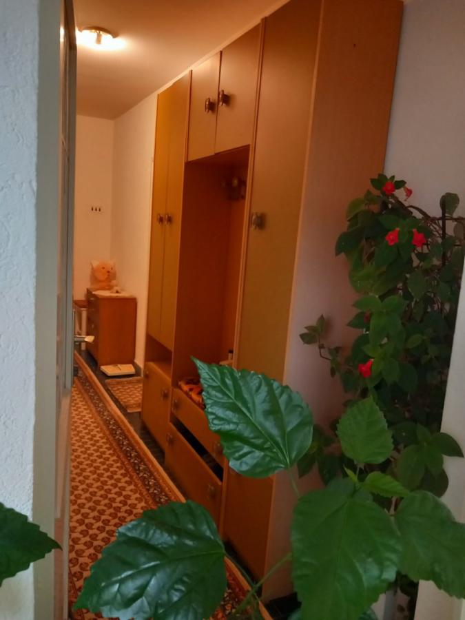 Gallery image 30
