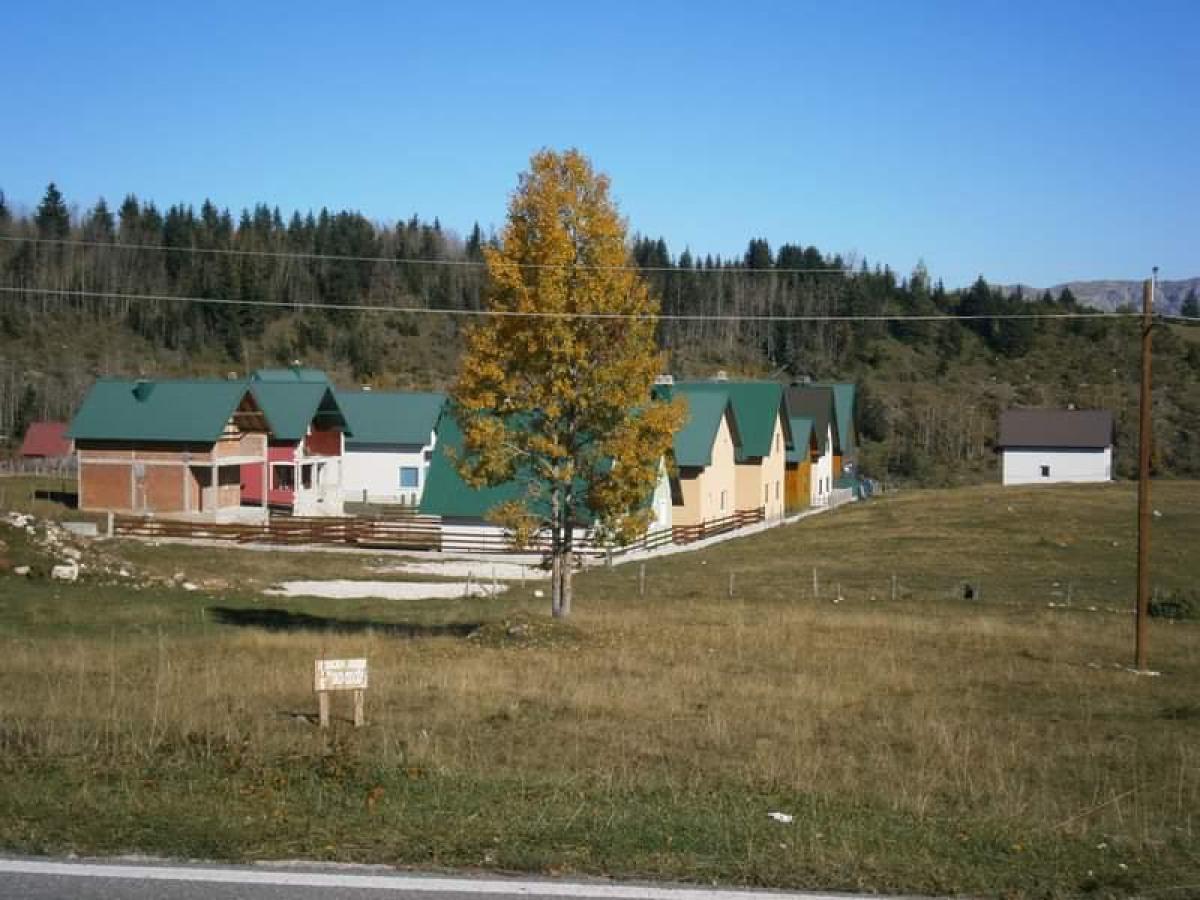 Gallery image 1