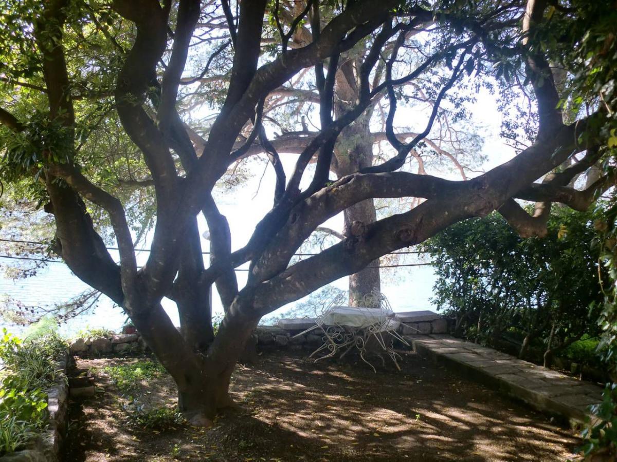 Gallery image 8