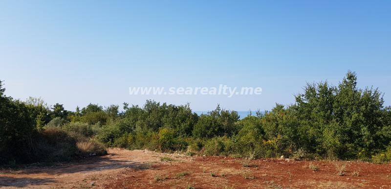 Gallery image 11