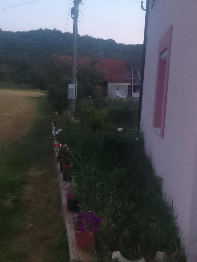 Gallery image 15