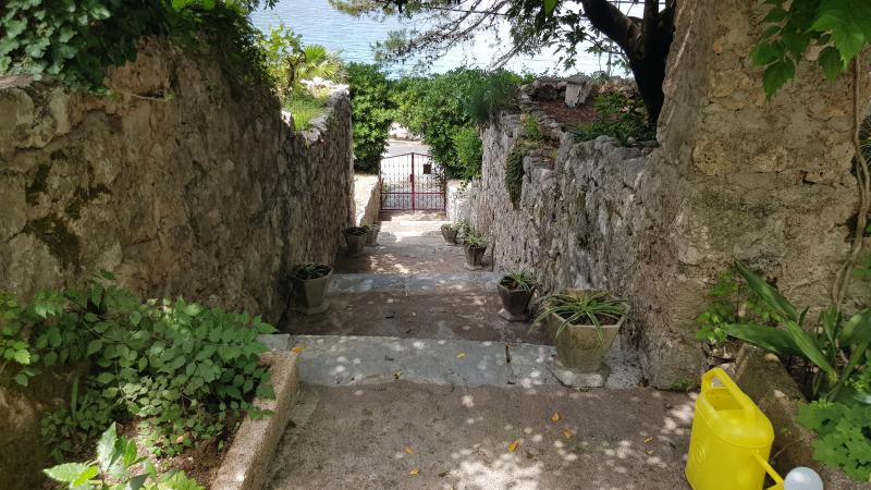 Gallery image 11