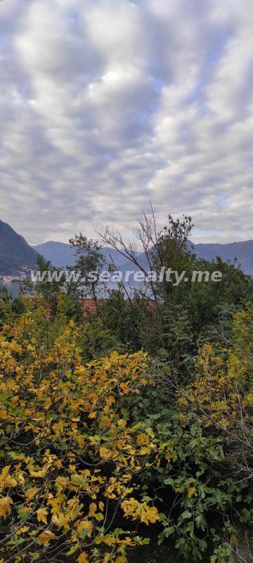 Gallery image 32