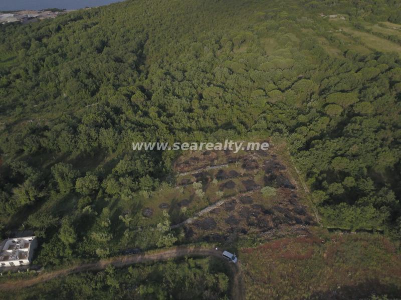 Gallery image 16