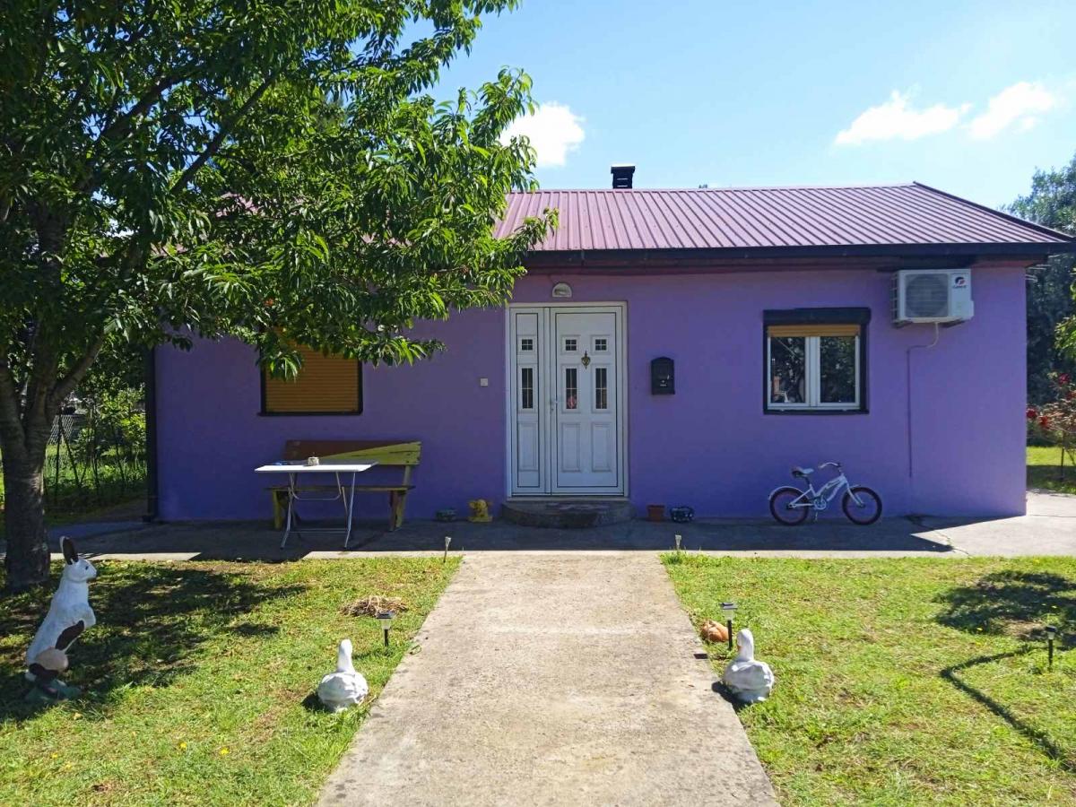 Gallery image 1