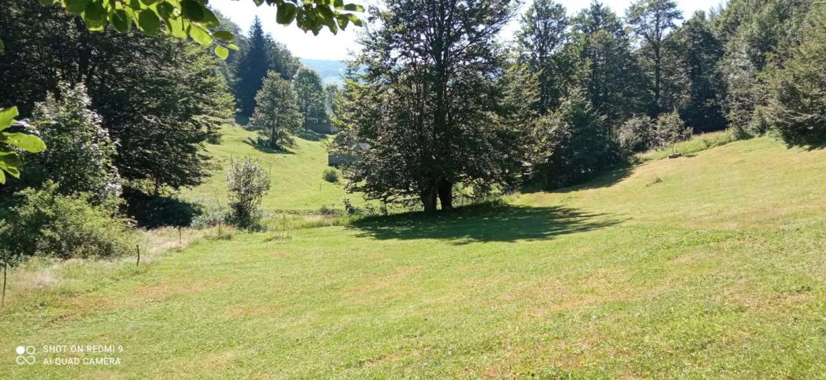 Gallery image 17