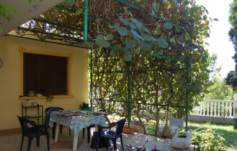 Gallery image 8