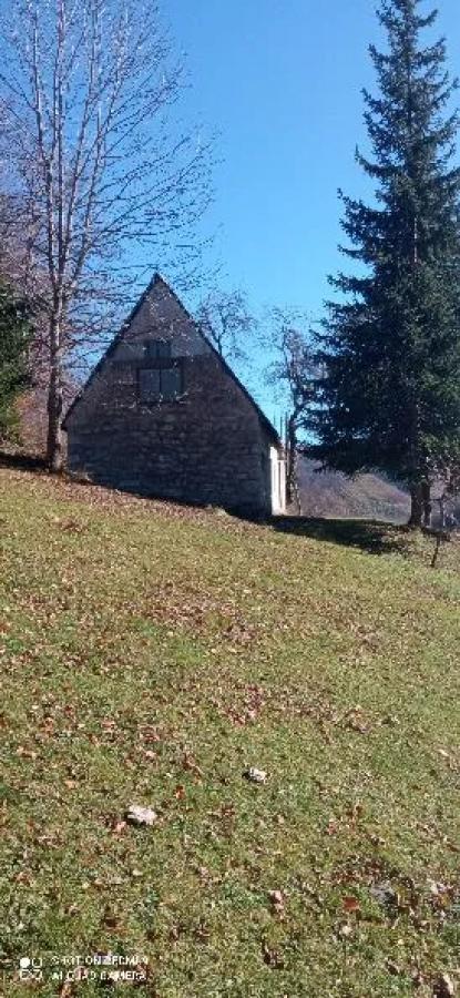Gallery image 4