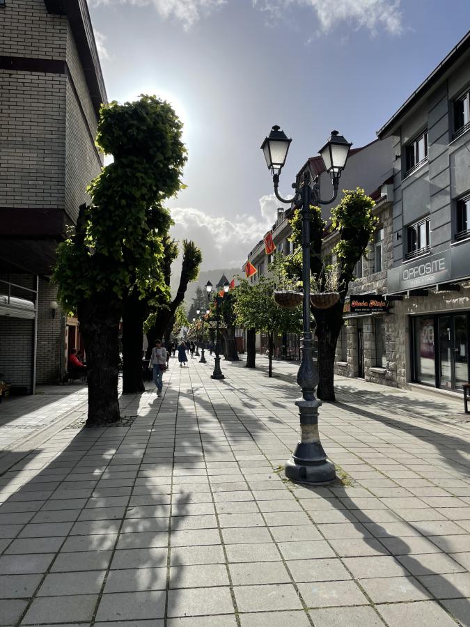 Gallery image 12