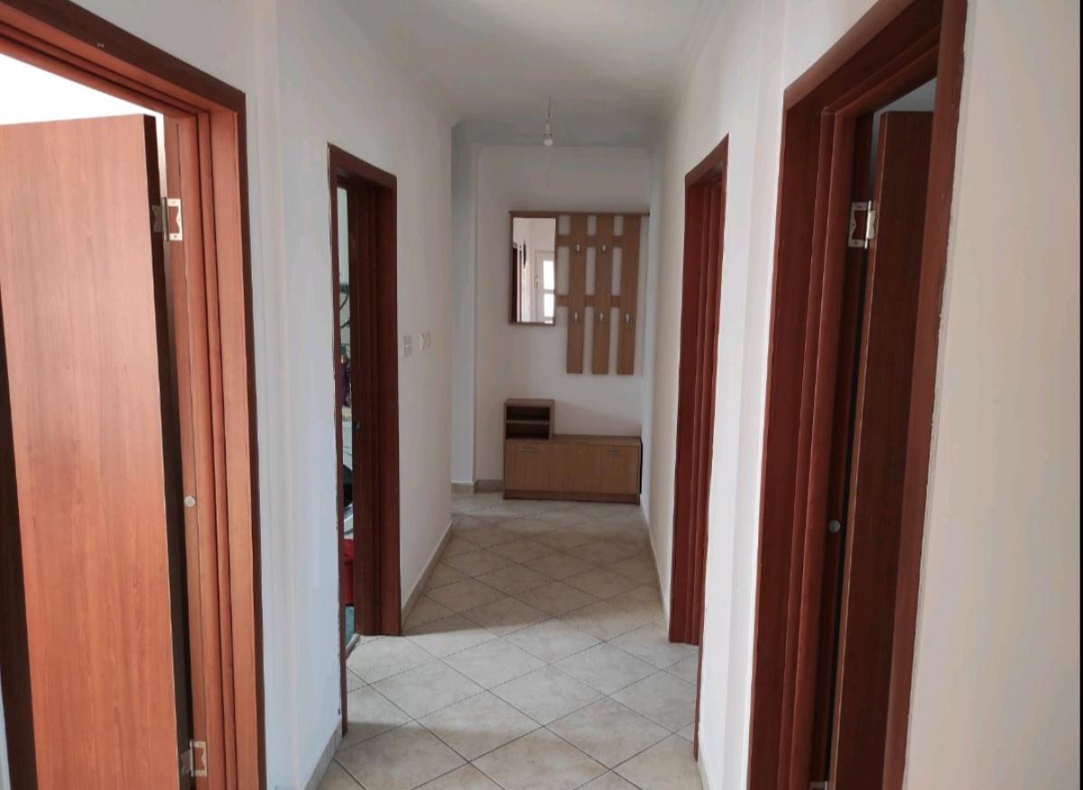 Gallery image 8