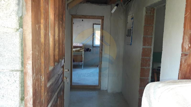 Gallery image 11