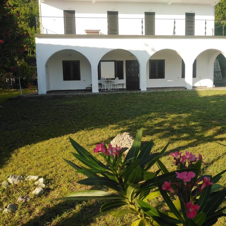 Gallery image 6