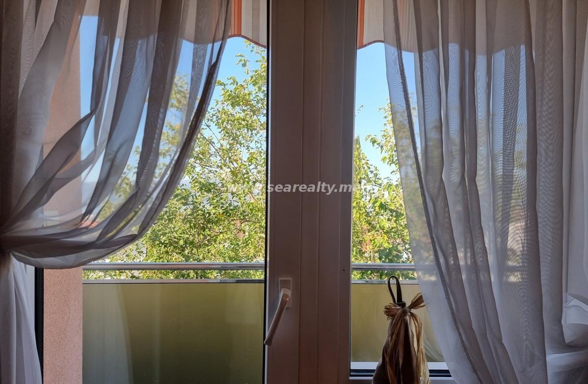 Gallery image 12