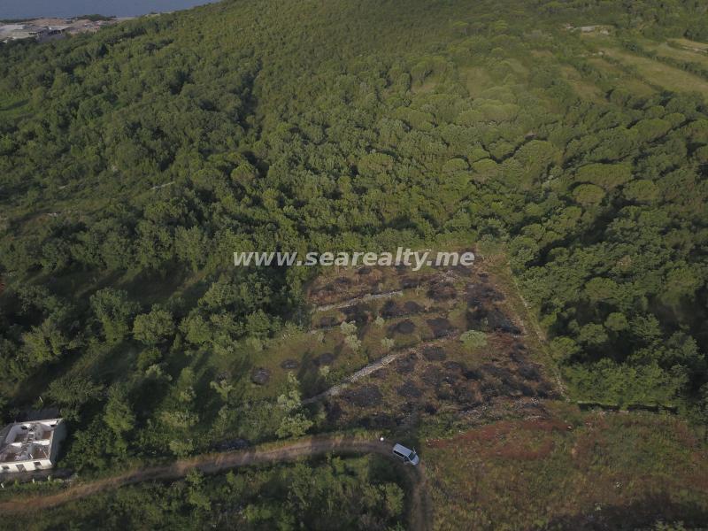 Gallery image 17