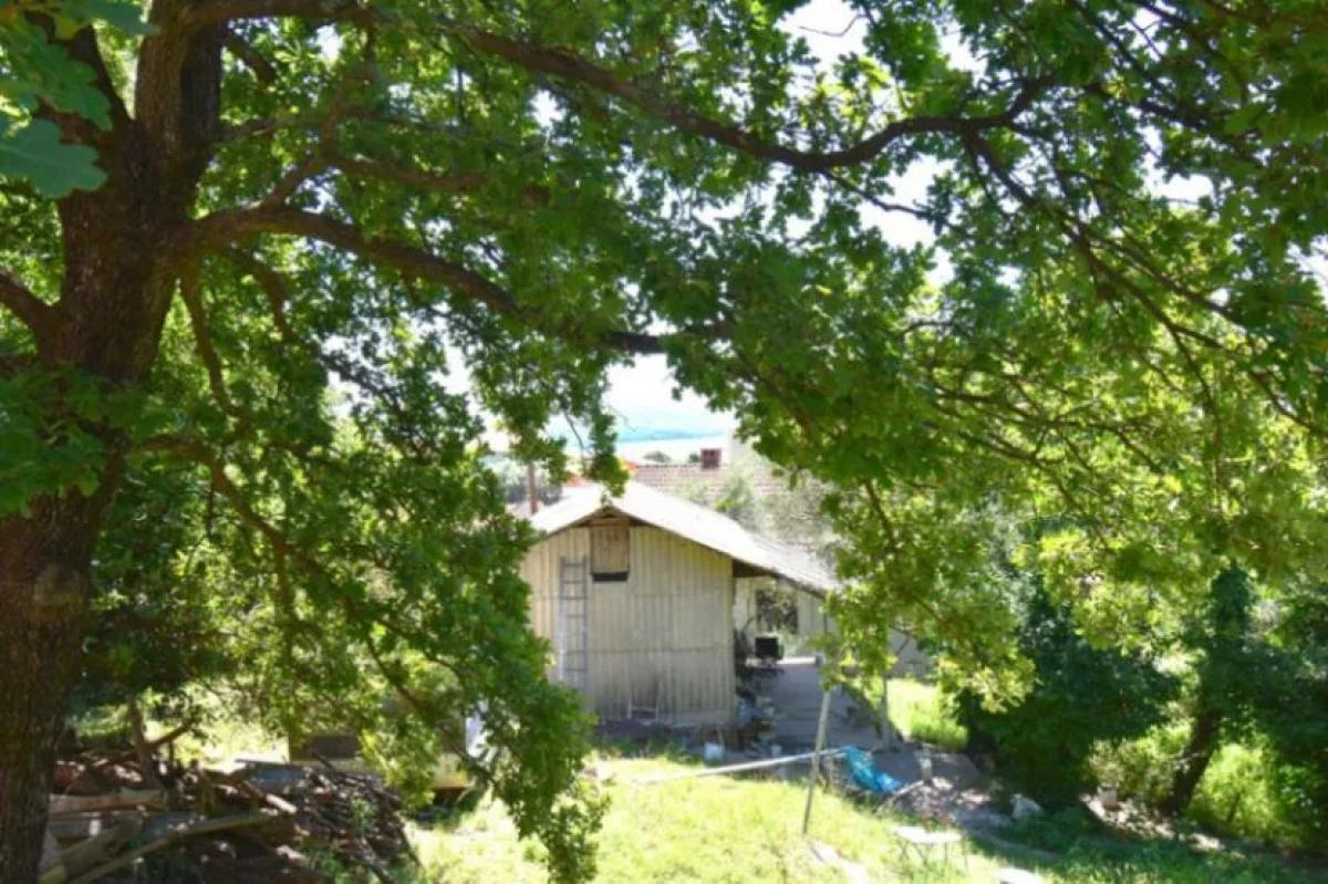 Gallery image 9