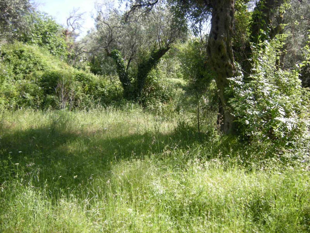 Gallery image 6