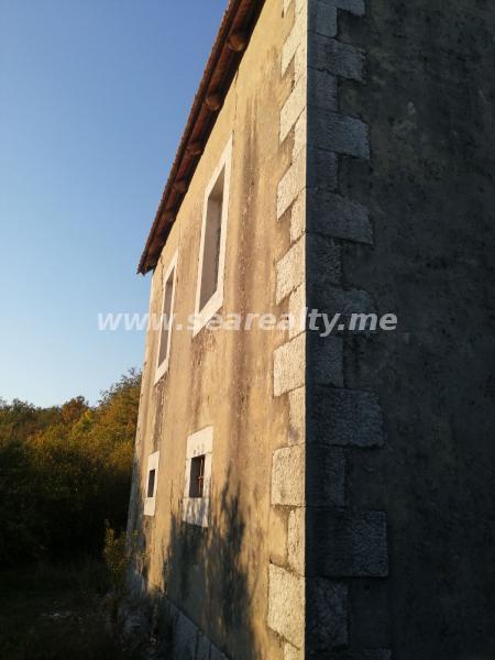 Gallery image 10