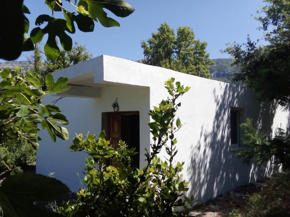 Gallery image 1