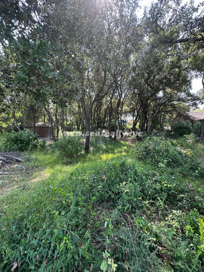 Gallery image 7