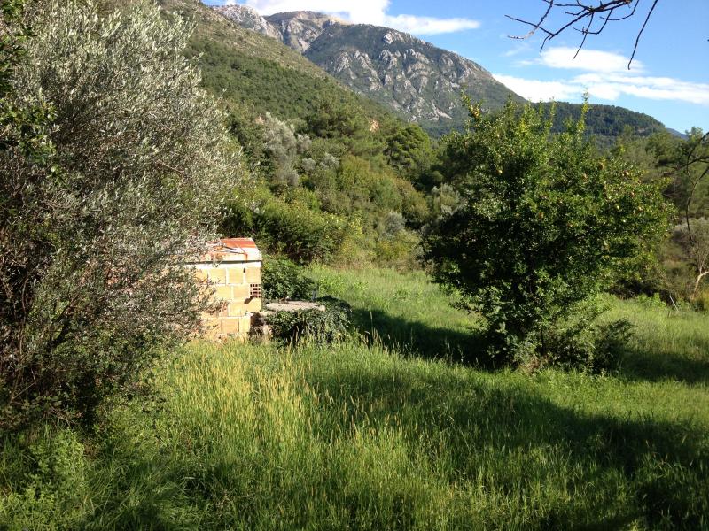 Gallery image 1