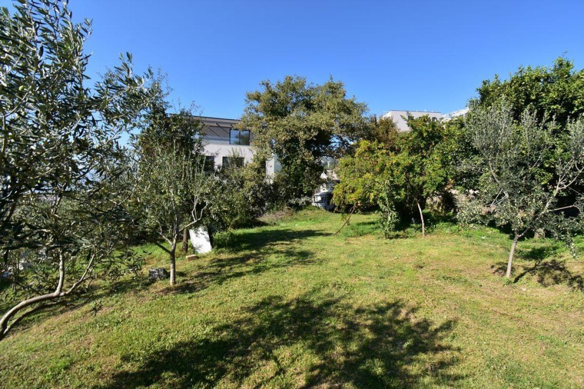 Gallery image 13