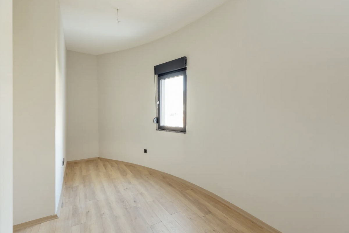 Gallery image 12