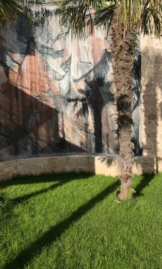 Gallery image 19