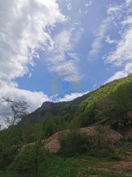 Gallery image 17