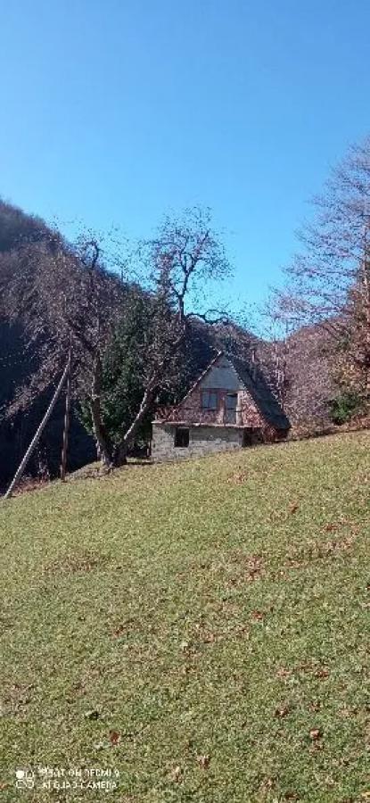Gallery image 7