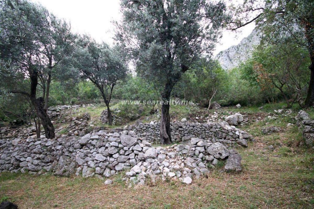 Gallery image 10