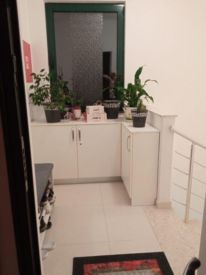 Gallery image 8