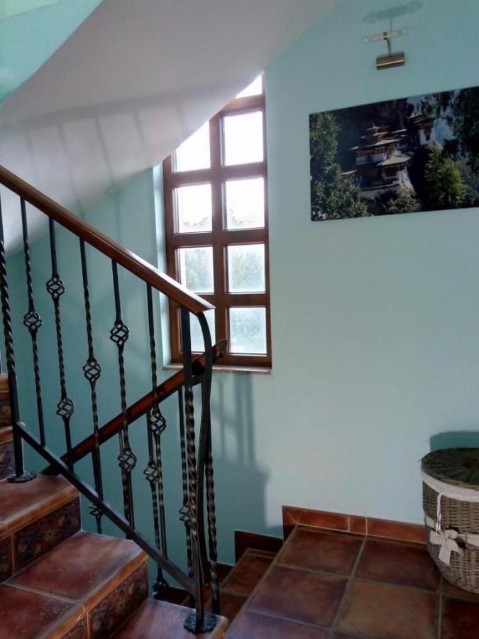 Gallery image 12