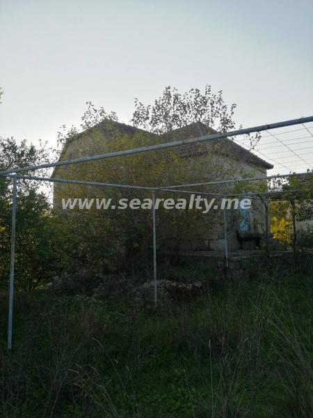 Gallery image 9